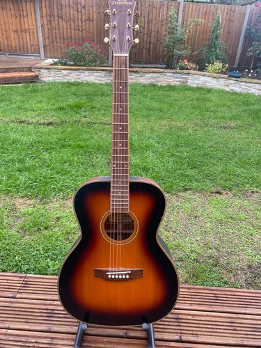 Freshman acoustic guitars - freshman,