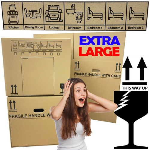 Extra large 21x21x16 - extra, 21x21x16"