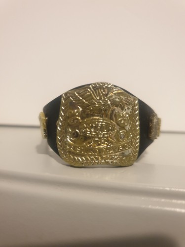 Wwe tag team - team, belt