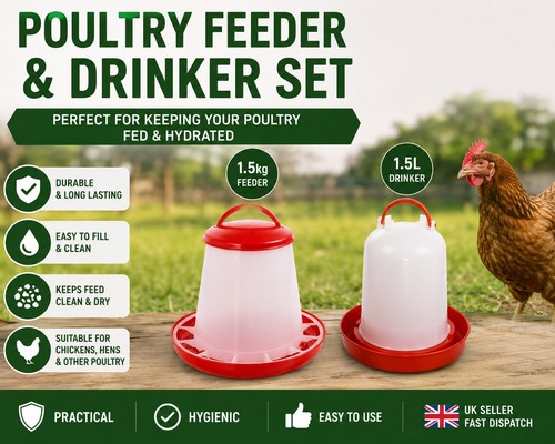 Poultry chicken feeder drinker - poultry,