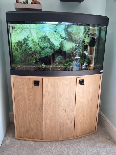 Fluval vicenza 180l bowfront - vicenza,