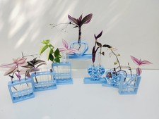 Blue Plant Propagation