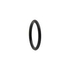 Iwata Packing O-Ring for