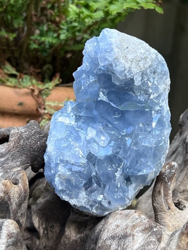Celestite open cluster geode - cluster,