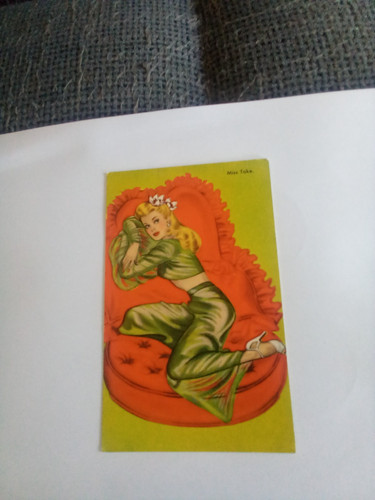 Vintage 1950s glamour pinup - vintage,