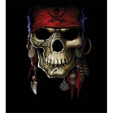 Hot Stuff 1976-16x20-SD Skull