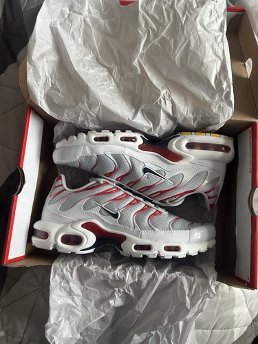 Nike air max plus - tn, grey