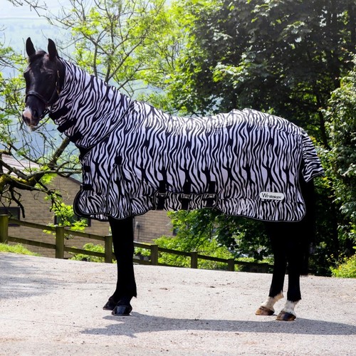 Whitaker marwell zebra fly - marwell,