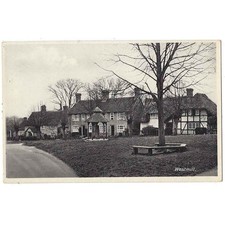 WESTMILL Village Green Showing