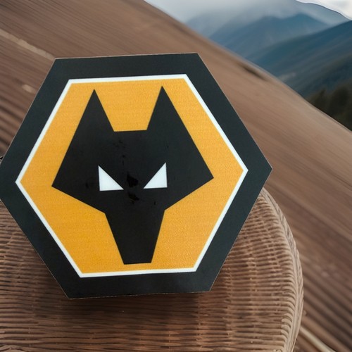 Wolverhampton wanderers - wolverhampton,