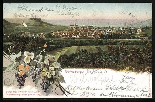 Vineyard city view - vineyard,,