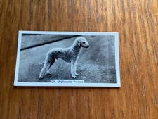 JOHN SINCLAIR - CHAMPION DOGS - BEDLINGTON TERRIER - No 21 - 1938 in VGC