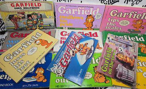 Garfield comic book - garfield,
