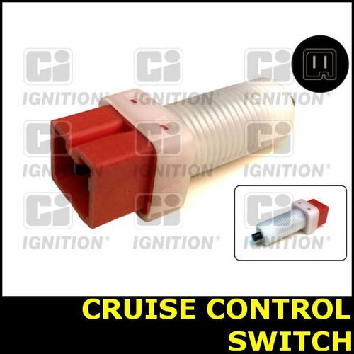 Cruise control switch - control, for
