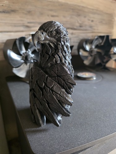 Eagle bird prey - bird,