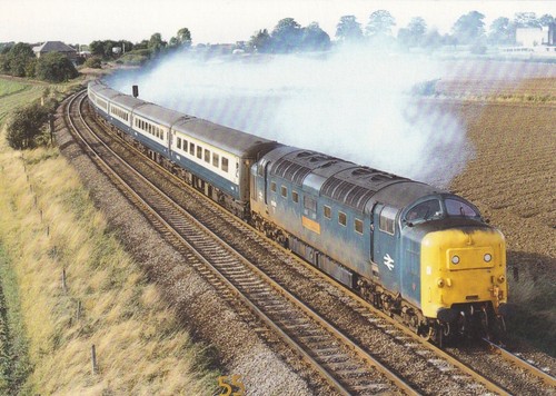 Deltic class 55019 - deltic, royal