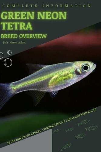 Novitsky green neon tetra - novitsky,