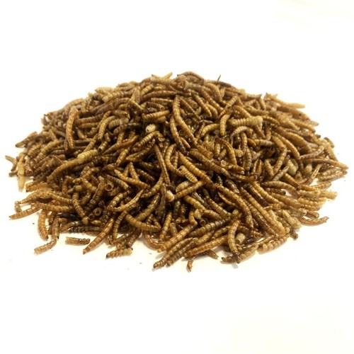 4kg premium dried - 4,