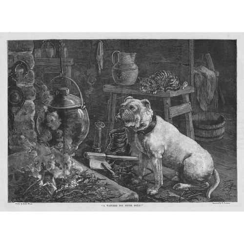 Louis wain watched - watched, pot