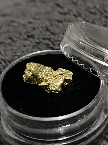 81g raw gold alaskan - raw, nuggets