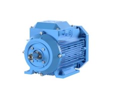 ABB Squirrel Cage Motor AC