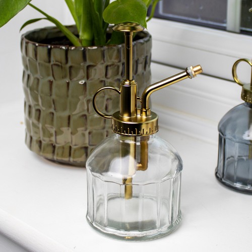 Dimple glass plant - dimple,