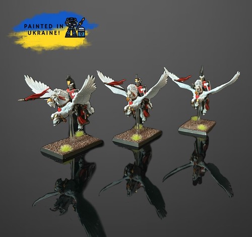 Bretonnian pegasus knights - bretonnian,
