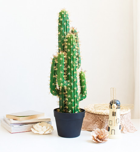 Large artificial cactus tree - tree,