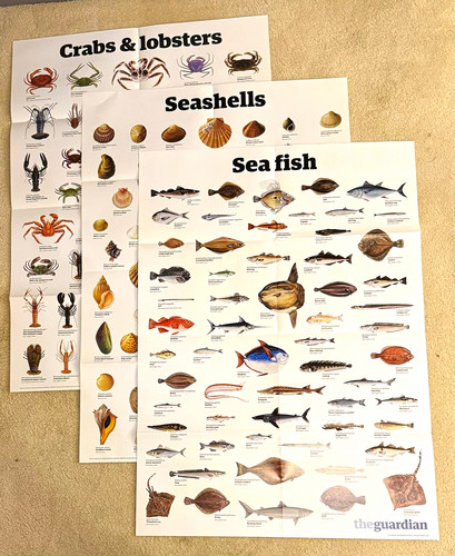 The guardian sea life - guardian, poster