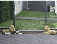 Large Pair Stone Lion Statues Gold  Garden Ornament 