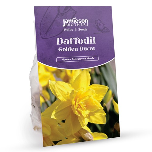 Golden ducat daffodil bulbs - ducat,