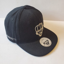 Diversity Snapback Hat Cap Born Ready Tour Black Silver Adult One Size Great