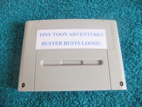 Tiny toon adventures buster - tiny,