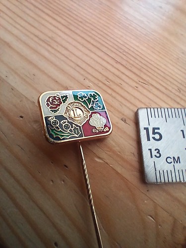 Vtg lions international pin - lions,
