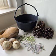 Floral Crafts / Floristry /Cauldron Gourds Large Cones  /Halloween Decor