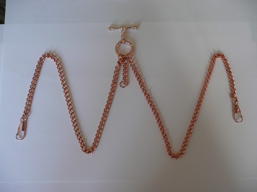 Unusual double albert rose - unusual,