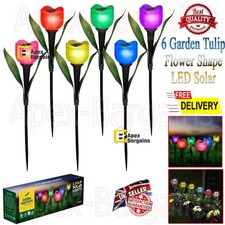 Garden tulip flower shape - 6,