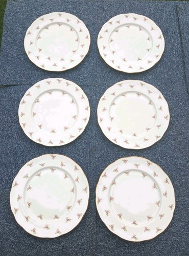 Large duchess bone china - large,