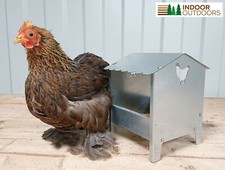Bantam Polish Chicken Ducks Quails Bird Poultry Metal Feeder Trough with Roof