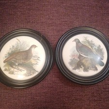 2 X Vintage/Antique Framed Pratt Ware Pot Lids. Partridge and wood pigeon 