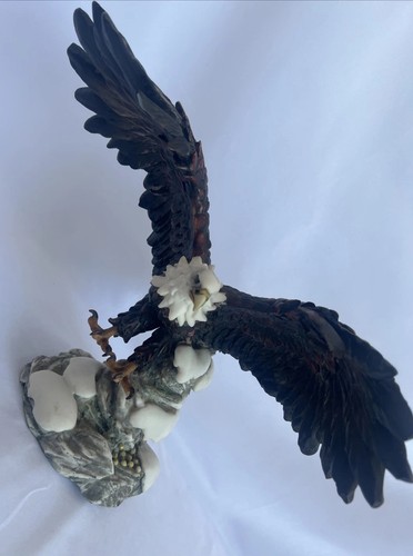 American bald eagle - eagle, crosa