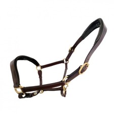Coco Equestrian Oak Brown