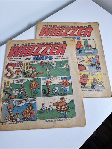 Two vintage whizzer and - whizzer, chips