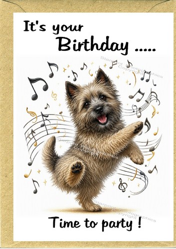 Cairn terrier dog birthday - cairn,