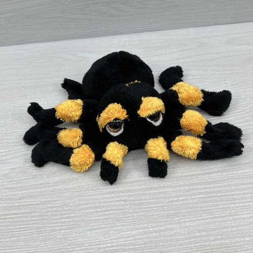 Suki spindra tarantula spider - spindra,