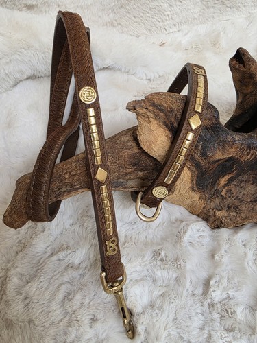 Luxury staffy bull terrier - staffy,