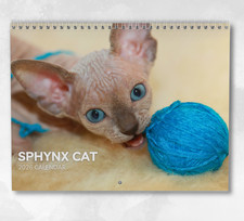 Sphynx Cat Calendar 2026