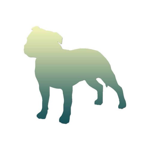 Staffordshire bull terrier - terrier,