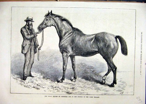 Original old antique - antique, print