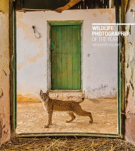 Wildlife photographer the - wildlife,